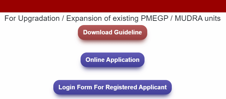 For Upgradation Expansion of Existing PMEGP Mudra Units