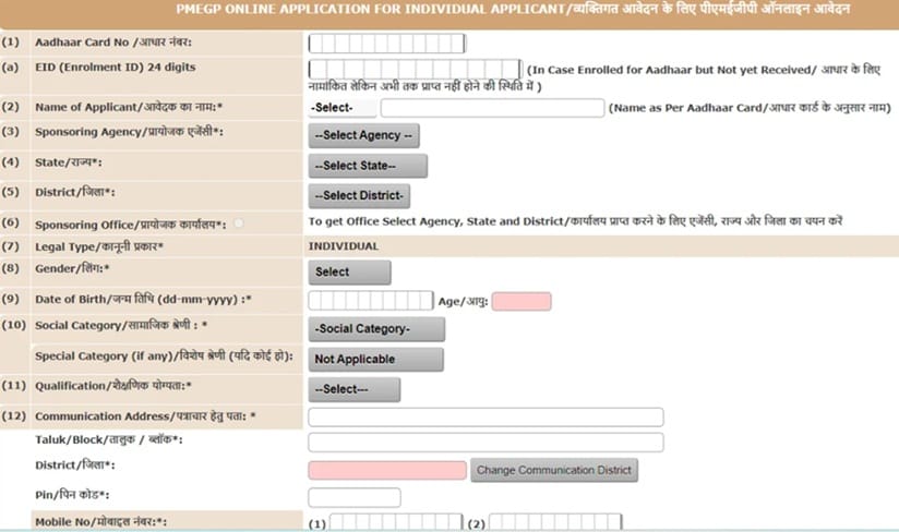 Individual Applicants PMEGP Online Application Form