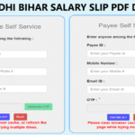 CFMS E Nidhi Bihar Salary Slip