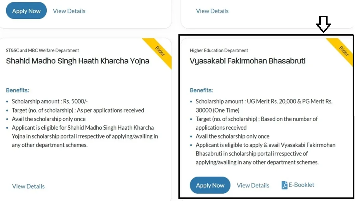 How to Apply for Vyasakabi Fakir Mohan Bhasabruti Scholarship