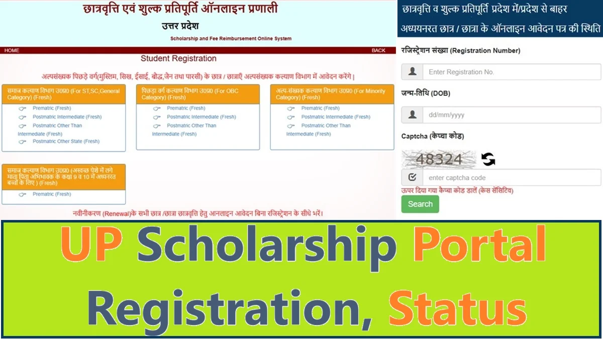 Scholarship UP Gov In Registration, Status