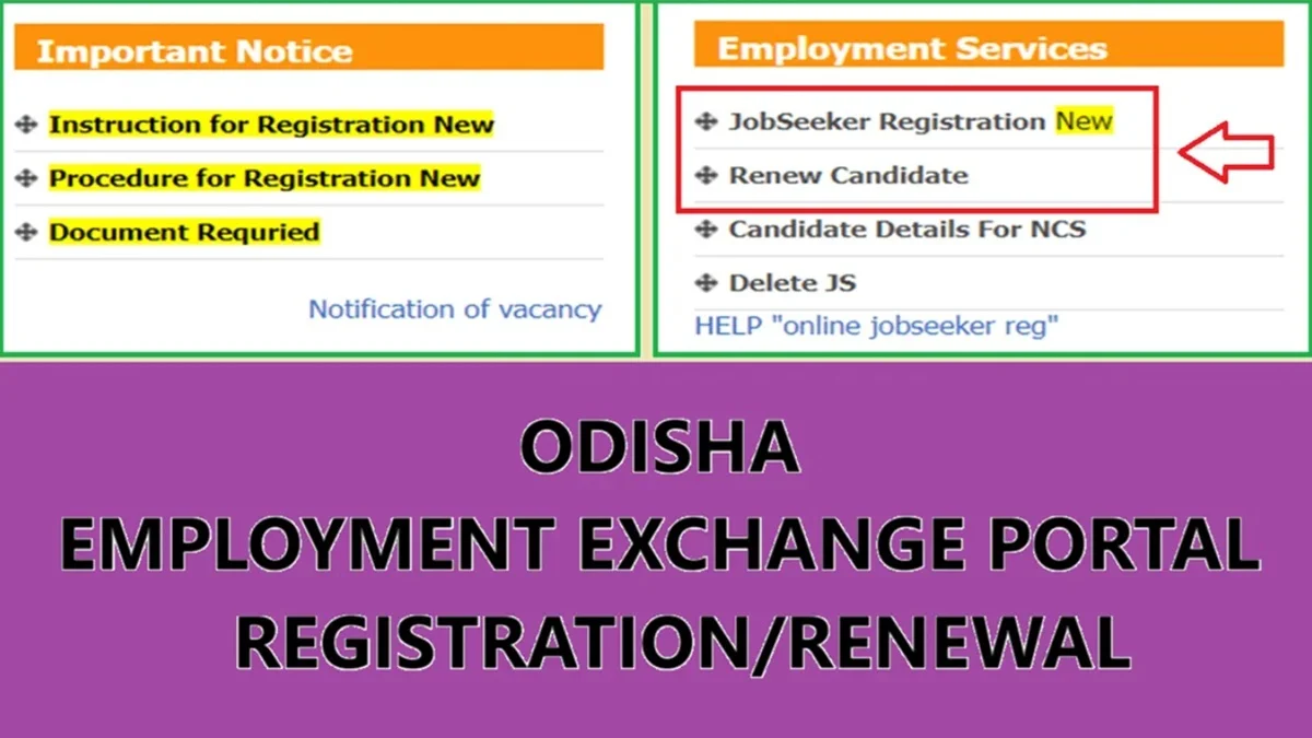 How to Make Odisha Employment Exchange Registration / Renewal